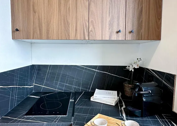Apartment Spacious & Luxurious Flat In Montparnasse Paris